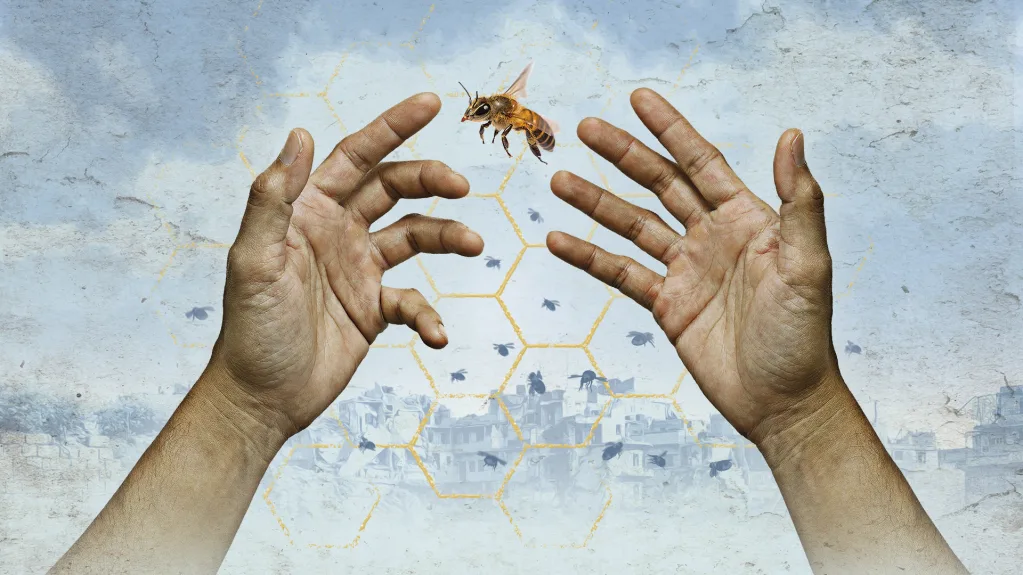 The Beekeeper of Aleppo event image at Theatre Royal Brighton, New Road, Brighton