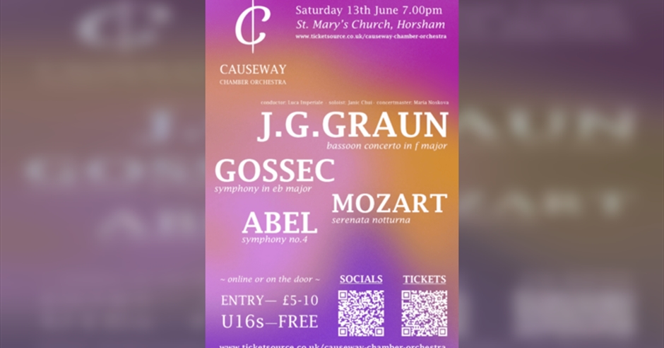 Causeway Chamber Orchestra - By Royal Appointment