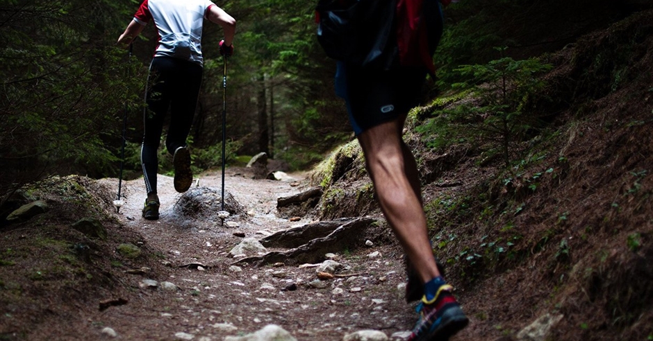 Experimental Drawing