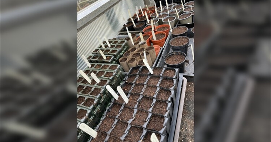 Propagation Workshop