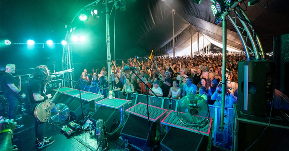 Horsham Fake Festival