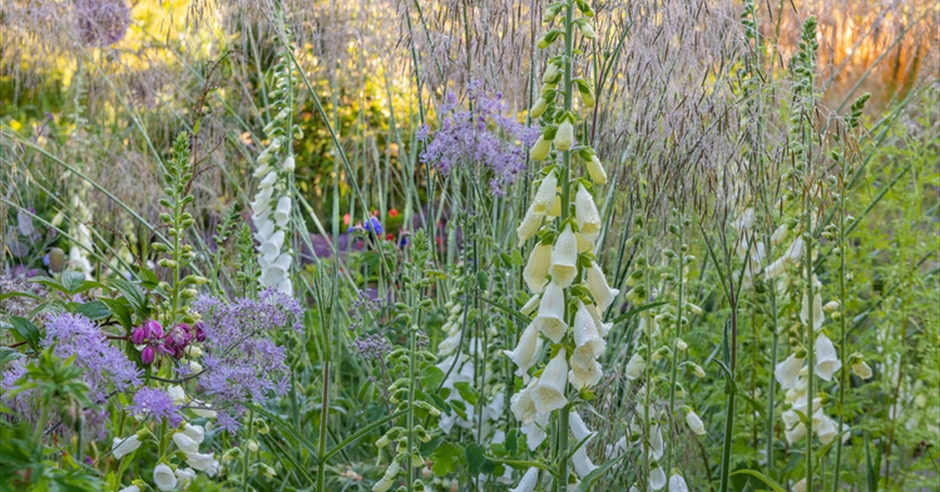 Summer Garden Tutorial