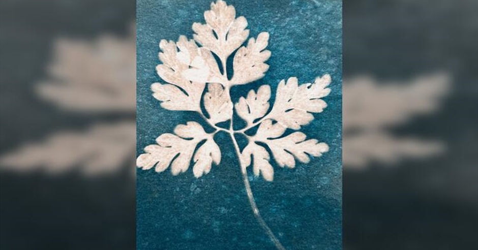 Cyanotype Printing Workshop