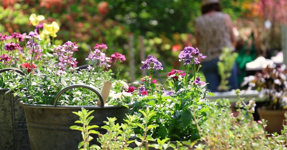 Specialist Spring Plant Fair