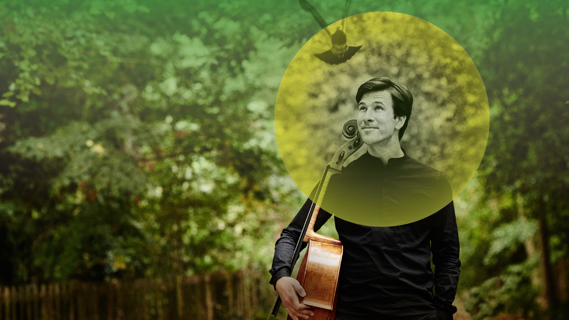 The Protecting Veil: Guy Johnston plays Tavener, Max Richter/Vivaldi, Vaughan Williams