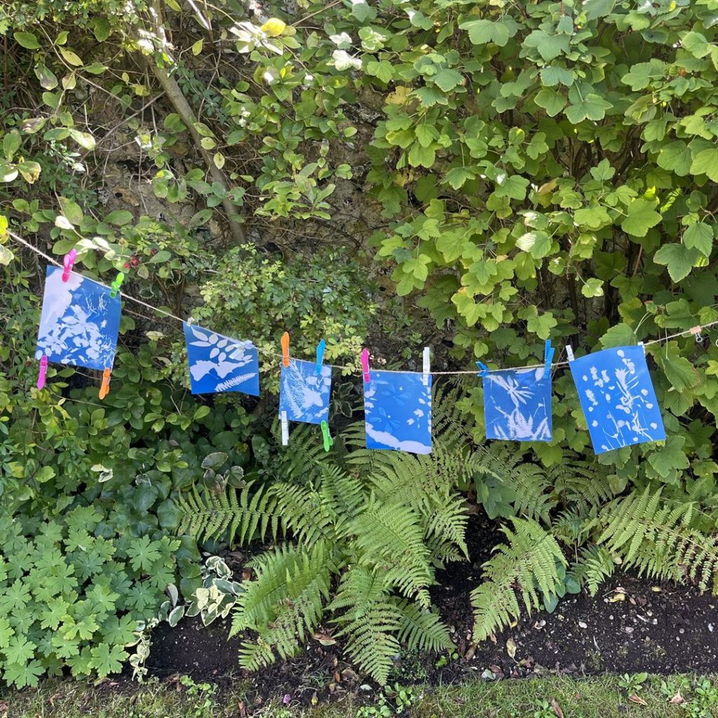 Cyanotype Workshop