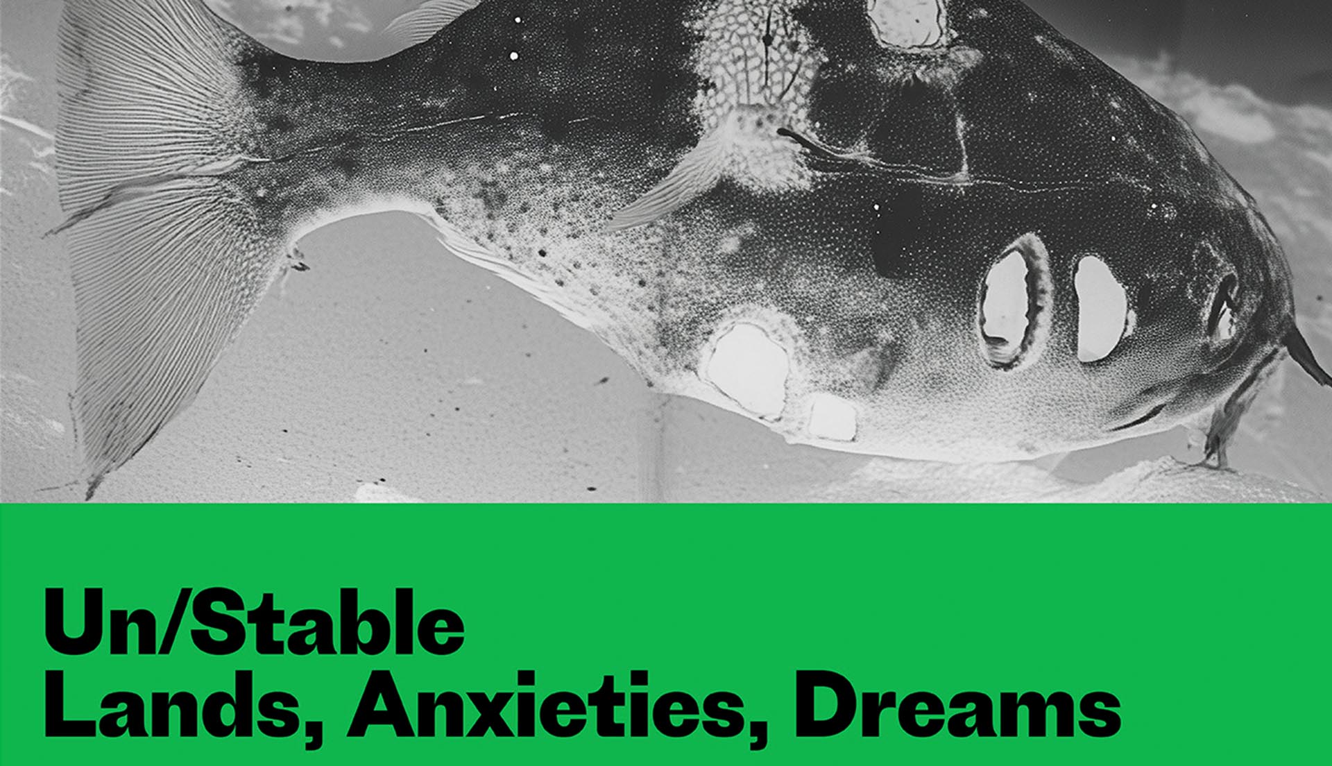 Photoworks Festival 2026: Un/Stable: Lands, Anxieties, Dreams