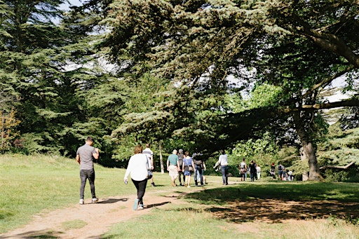 Netwalking: Devil's Dyke and Brighton's lost railway