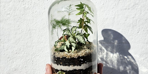 Small Closed Terrarium Workshop