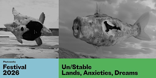 Conference : Un/Stable: Lands, Anxieties, Dreams